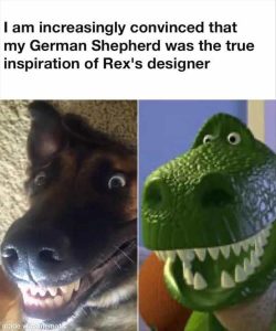 Stupid Bar Memes zsmemerss200