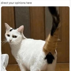 Stupid Bar Memes zsmemerss5