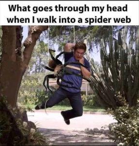 Stupid Bar Memes zsmemes28