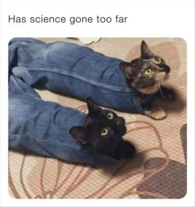 Stupid Bar Memes zys4