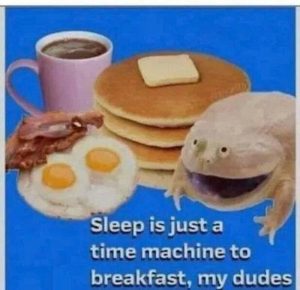 Stupid Bar Memes 141024ssermeme27s618x598