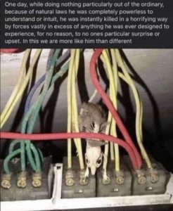 Stupid Bar Memes 171024ssermeme66s618x754