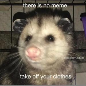 Stupid Bar Memes 1QDsqjBs8ea612