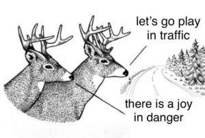 Stupid Bar Memes 211024ssers12s618x416