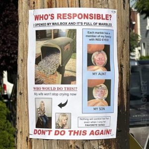 Stupid Bar Memes 241024ssermeme5s618x618
