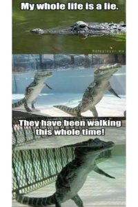 Stupid Bar Memes 281024ssers119s618x92