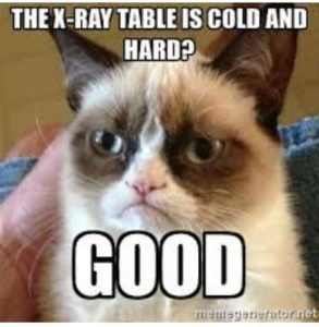 Stupid Bar Memes 28fc1dd04229ce3767e5718a0ee33836