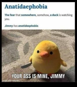 Stupid Bar Memes 2c9670d1d20011a2