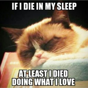 Stupid Bar Memes 34a14a