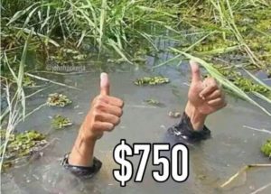 Stupid Bar Memes 34af08aa42307d41