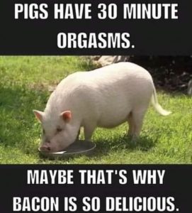 Stupid Bar Memes 3981f07cd9977197