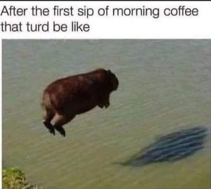 Stupid Bar Memes 4614450346511sn