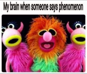 Stupid Bar Memes 4f38856f87e5a8f4