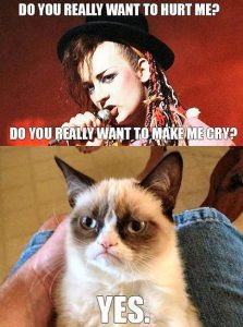 Stupid Bar Memes 5123d897d21d8