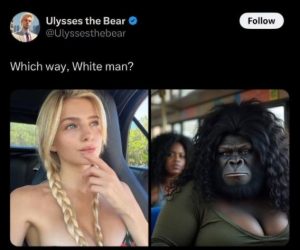 Stupid Bar Memes 65e1ff4b0378bf2f