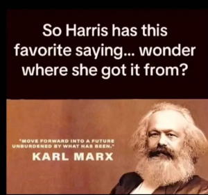 Stupid Bar Memes 664a17064cef342e