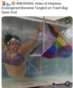 Stupid Bar Memes 6679da1f82c42515