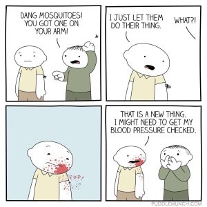 Stupid Bar Memes 6709bf28845a5