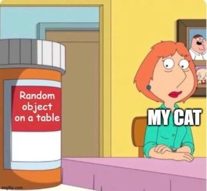Stupid Bar Memes 671607dc7f007