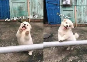 Stupid Bar Memes 671d81dbb6a08