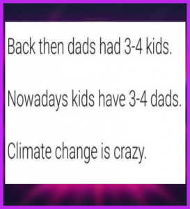 Stupid Bar Memes 715776a7348185e1