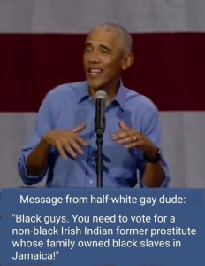 Stupid Bar Memes 78dc5a8a8d5df561