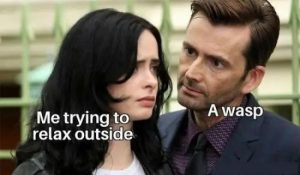 Stupid Bar Memes 81AkbrR