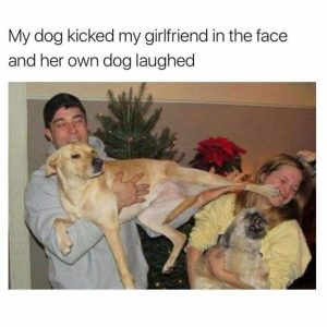 Stupid Bar Memes 8bd9f5b05bc1d522