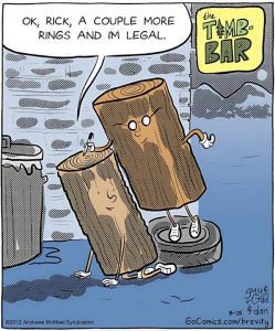 Stupid Bar Memes 977ca54d7ed5b3dc