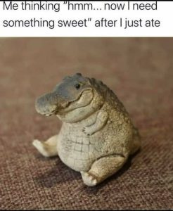 Stupid Bar Memes 97a138191b269676