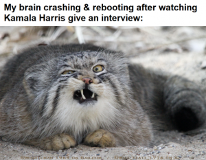 Stupid Bar Memes 9e5815e8ef1ae65f