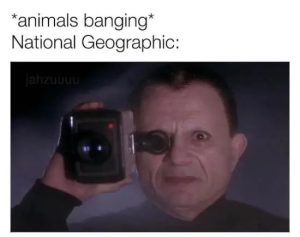 Stupid Bar Memes FH9dMmY