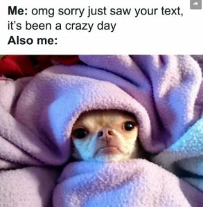 Stupid Bar Memes Screenshots2024s09s30sats10.38.1