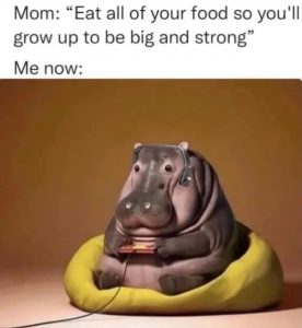 Stupid Bar Memes WARs10s20s24s33s5