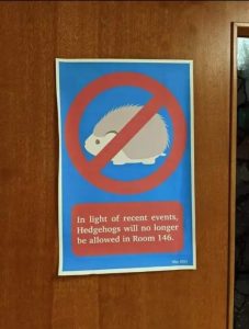 Stupid Bar Memes XLlaQDo