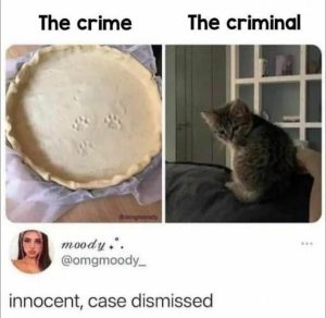 Stupid Bar Memes a170de02c97a0ebf