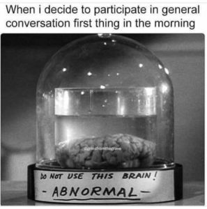 Stupid Bar Memes abbysnormalsparticipatesinsconve