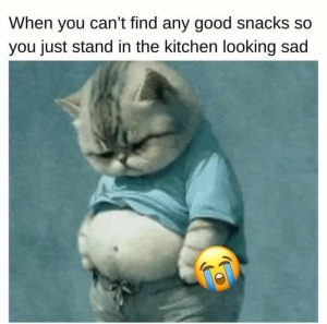 Stupid Bar Memes avy8v5Es700b