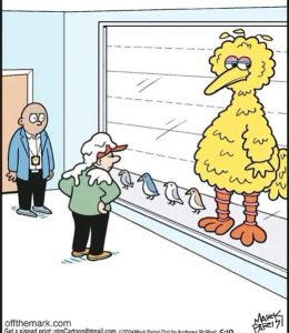 Stupid Bar Memes bigsbirdspoliceslineup