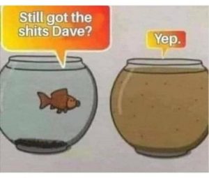 Stupid Bar Memes c9f56ad449e631ce