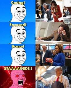 Stupid Bar Memes caringsfocusedsbravesdemocratsst