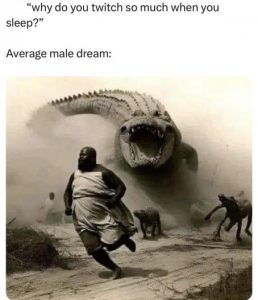 Stupid Bar Memes cdbee58985a3c74f