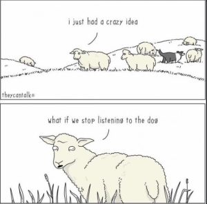 Stupid Bar Memes d28af8ef8f34c1b1