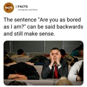 Stupid Bar Memes d3530ce543b2a664