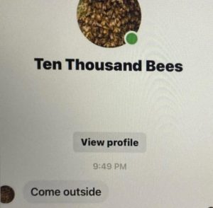 Stupid Bar Memes d4287f34fd2de074