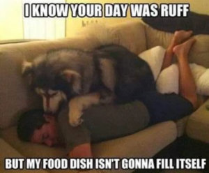 Stupid Bar Memes deeb07bd3e2226b7