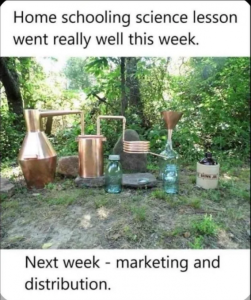 Stupid Bar Memes dfcbbc7b5ab1f5a1