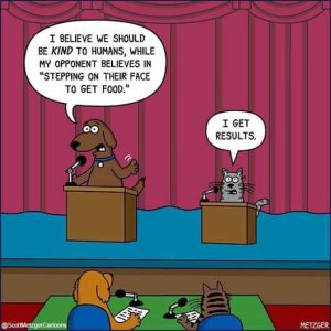 Stupid Bar Memes dogscatsdebateskindstoshumanssst