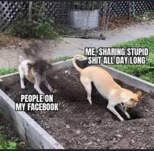 Stupid Bar Memes dogsvdiggingsvpeoplesvonsvfacebooksvs