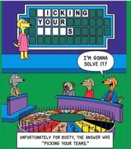 Stupid Bar Memes dogswheeloffortunepickingyo